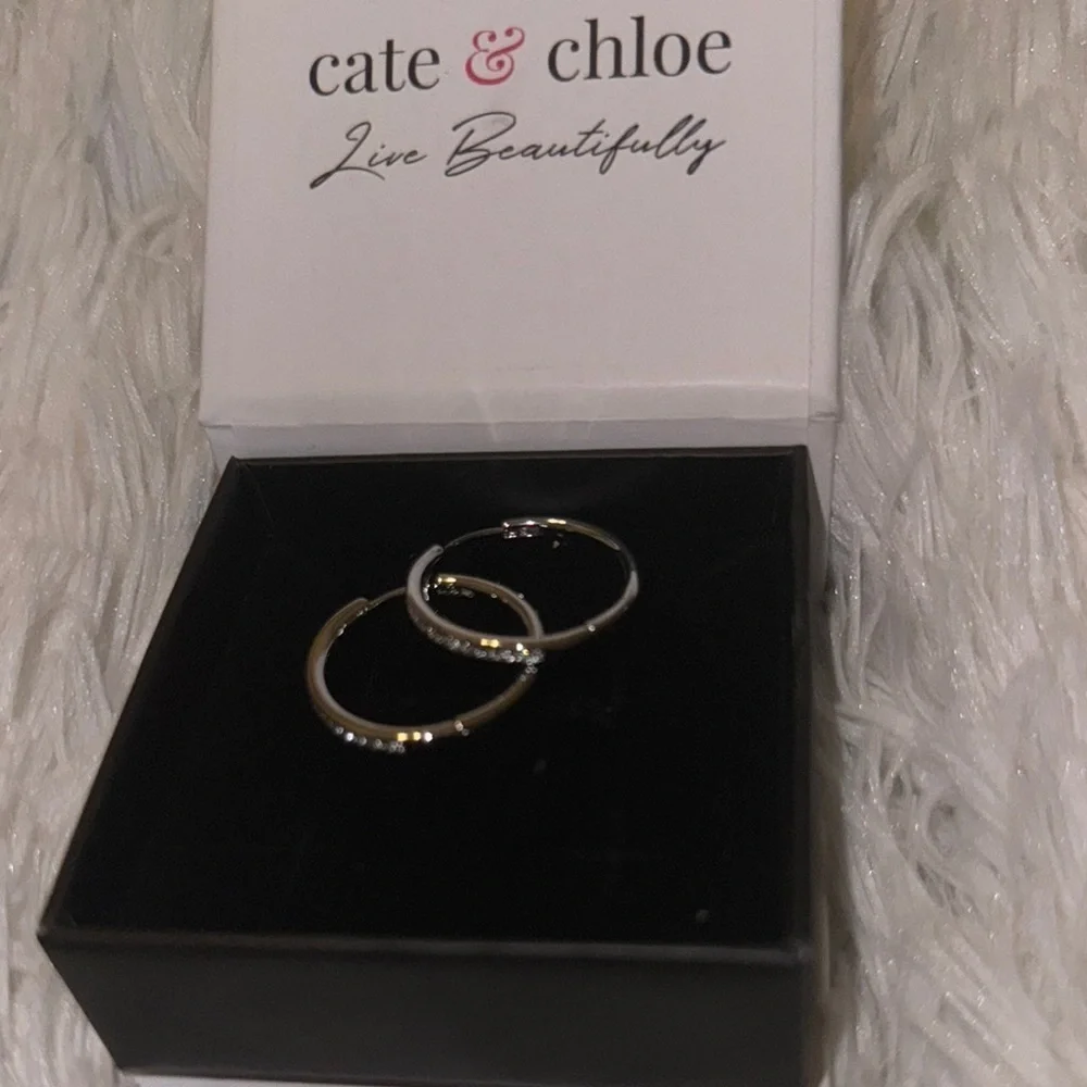 Cate & Chloe Silver Earrings - Picture 2 of 3